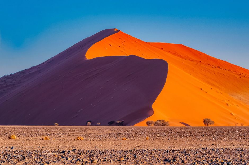 Dune 45 in Sossusvlei, Namibia, with camelthorn trees in the front