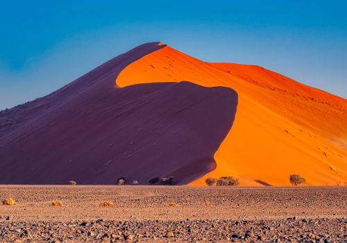Dune 45 in Sossusvlei, Namibia, with camelthorn trees in the front